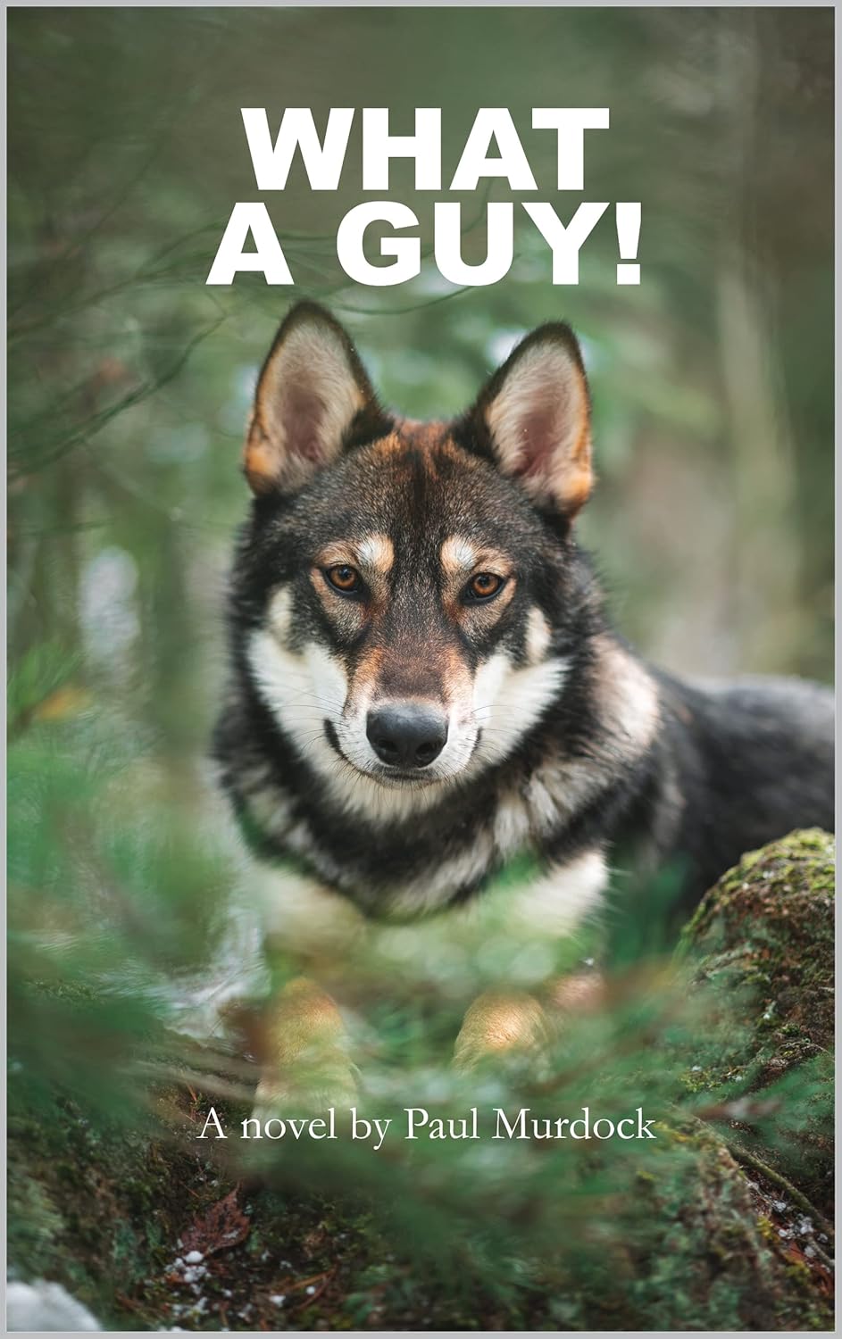 What A Guy! — Paul Murdock · Fiction